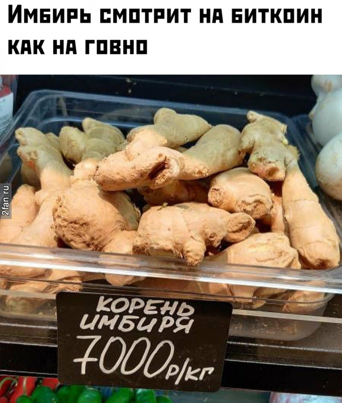 Теперь имбирь смотрит на биткоин как на говно