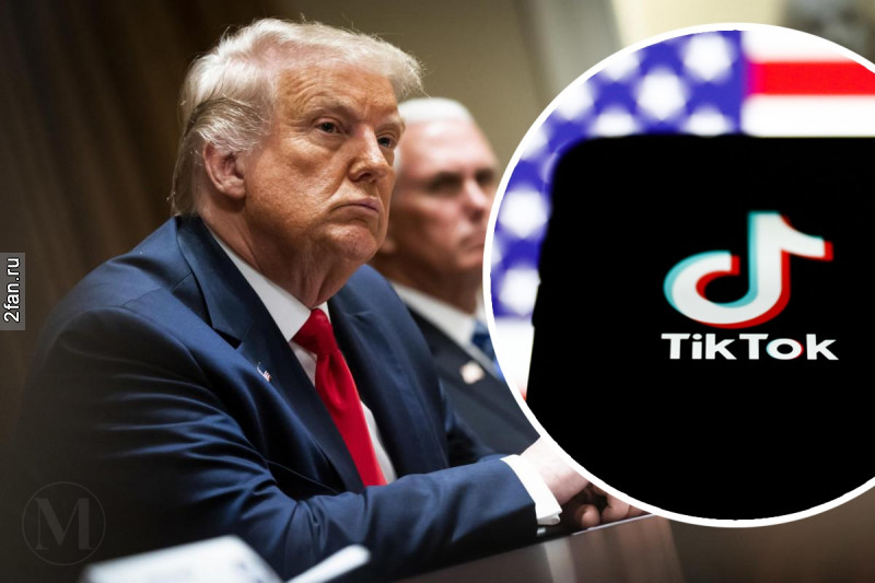 тик ток против президента дональда трампа