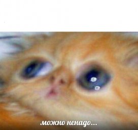 можно ненадо...