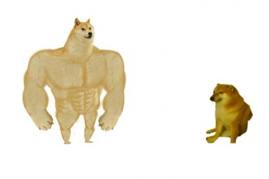 Качок Доге и Чимс