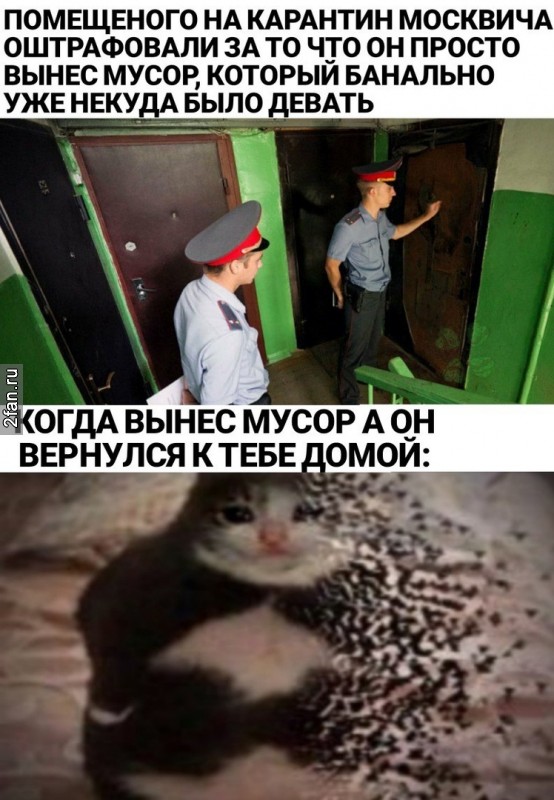 помещённого на карантин москвича оштрафовали за то что он просто вынес мусор, который банально уже некуда было девать