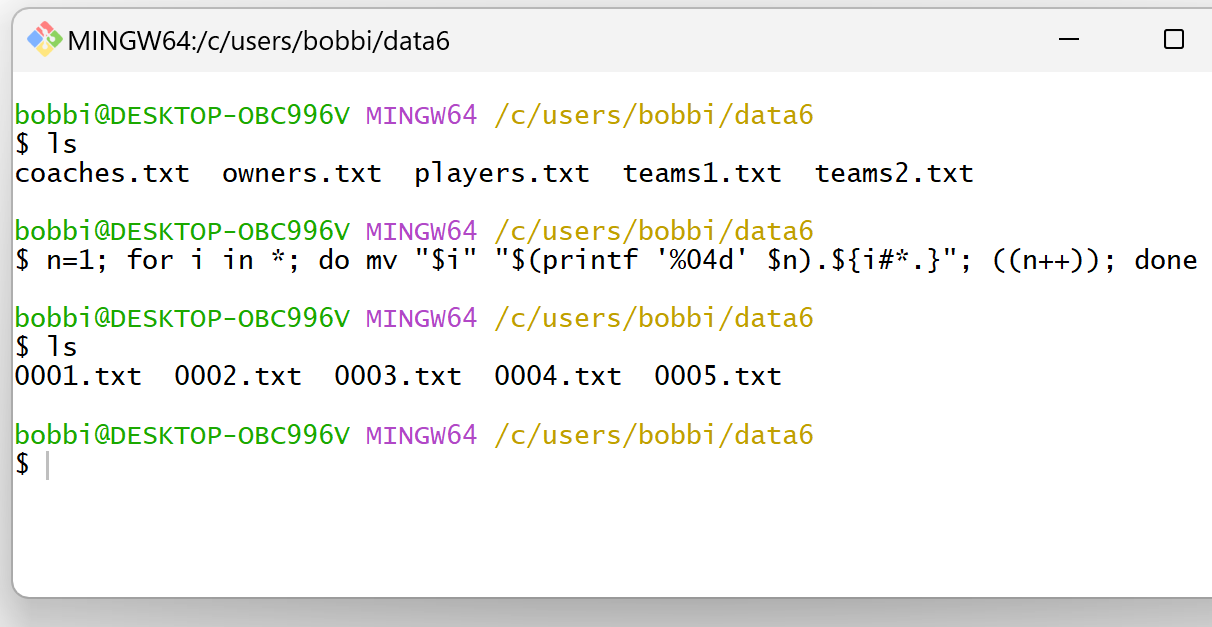 Bash rename files to sequential numbers