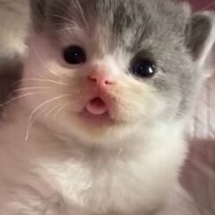 Auxi