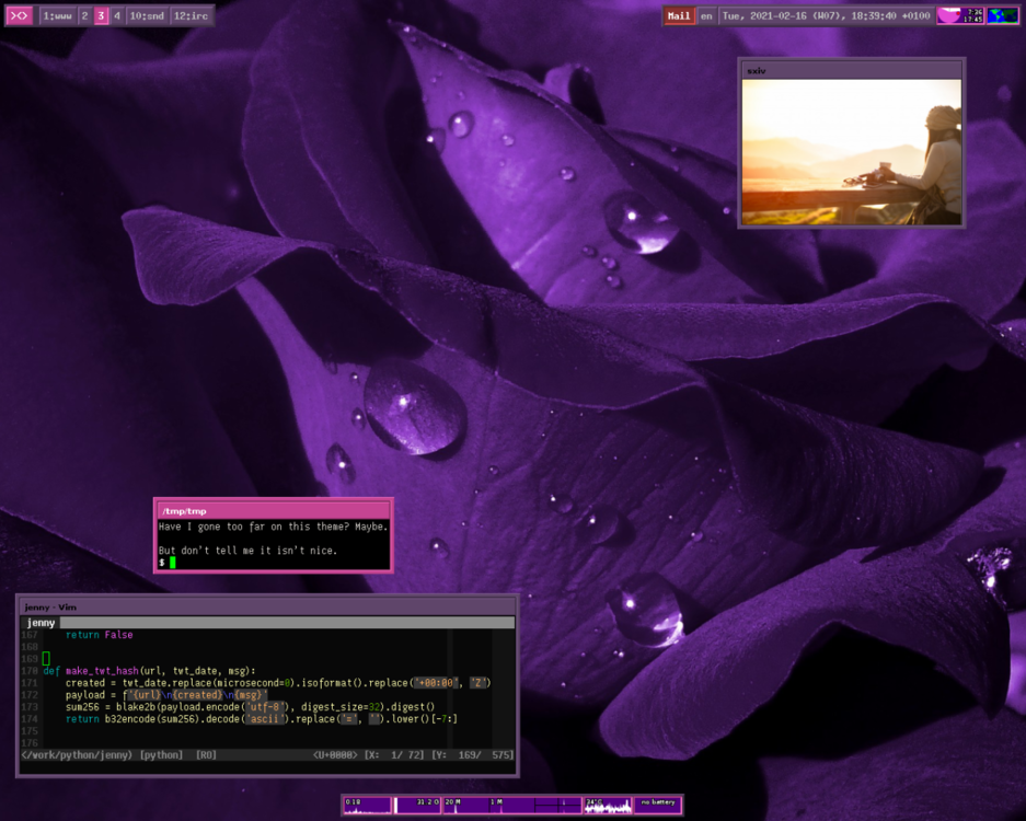 2021-02-16--katriawm-purple.png