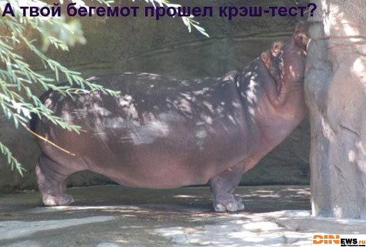 Бегемотный крэш-тест...