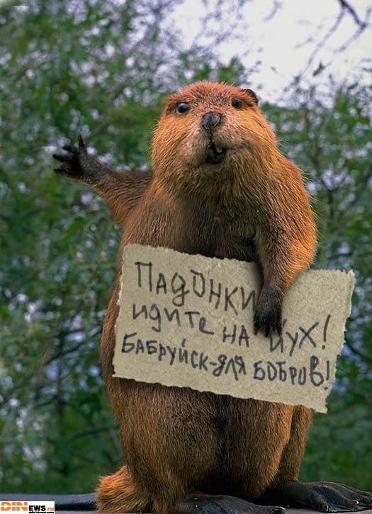 Падонки, идите на х.. Бабруйск для бобров!