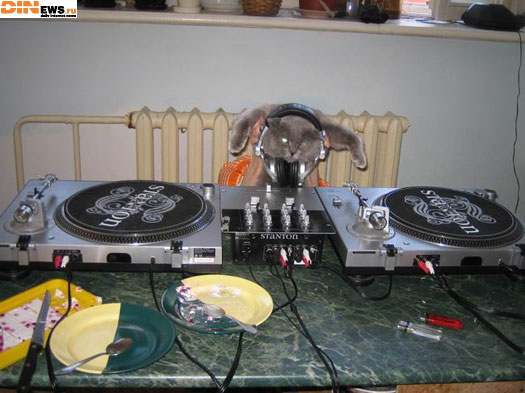 Эй DJ!...