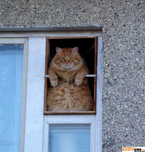 А че то не понял!!! Кто здесь?