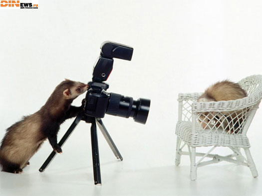 Фотосессия
