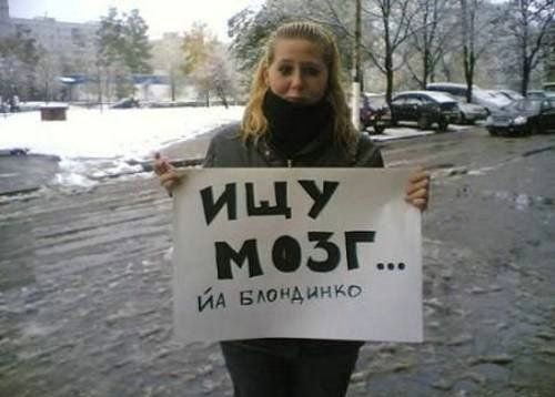 Ищу мозг!