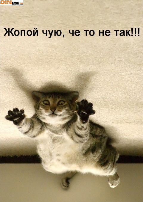Вот и у меня тоже чуйство! :)