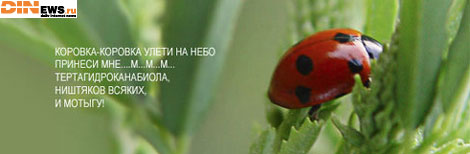 Коровка-коровка улети на небо...