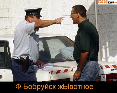 Туда же! В Бобруйск!!!