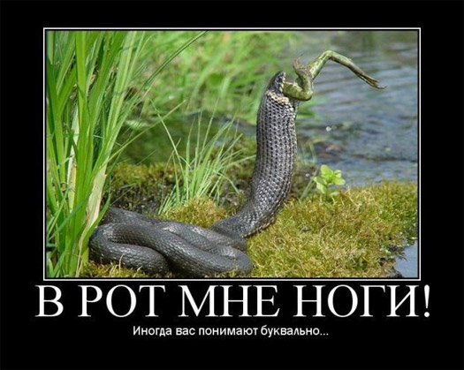В рот мне ноги!