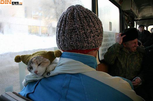 Вспомним холода!