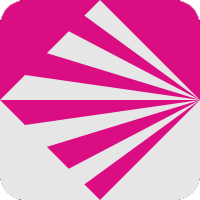 V-project logo.png